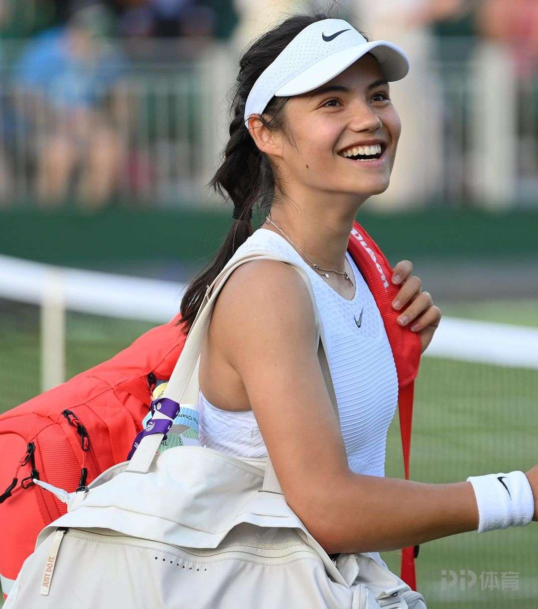 积累的阅读 积累的阅读