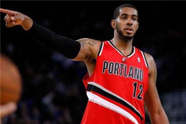 A整体生态 A整体生态