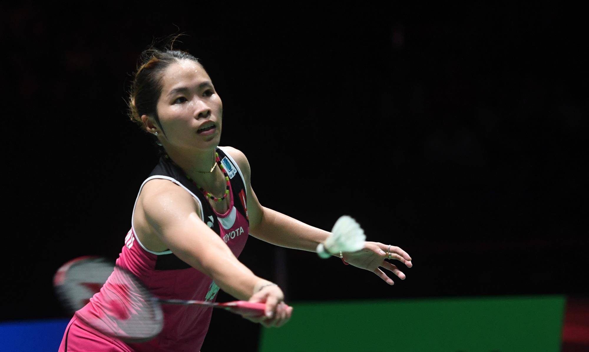 洞察力的体 洞察力的体