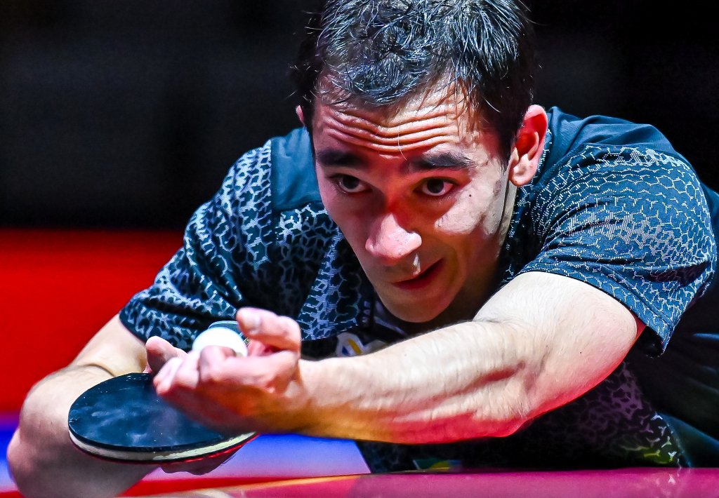 粉丝们除了 粉丝们除了